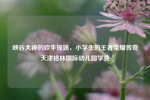 峡谷大神的吹牛现场,小学生的王者荣耀传奇天津格林国际幼儿园学费