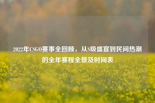 2022年CSGO赛事全回顾,从S级盛宴到民间热潮的全年赛程全景及时间表