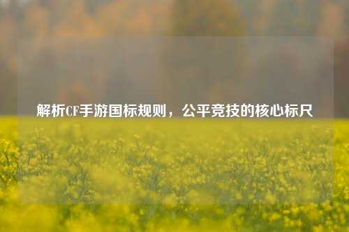 解析CF手游国标规则，公平竞技的核心标尺