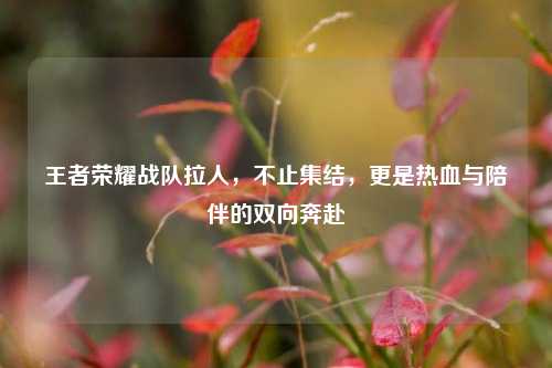 王者荣耀战队拉人，不止集结，更是热血与陪伴的双向奔赴