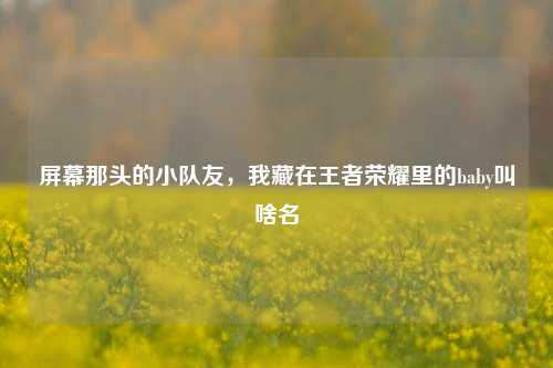 屏幕那头的小队友,我藏在王者荣耀里的baby叫啥名