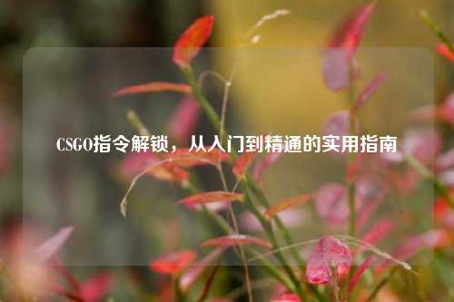CSGO指令解锁,从入门到精通的实用指南