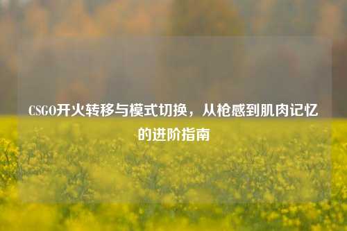 CSGO开火转移与模式切换，从枪感到肌肉记忆的进阶指南
