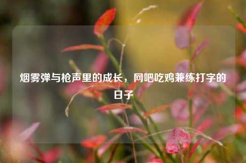 烟雾弹与枪声里的成长，网吧吃鸡兼练打字的日子